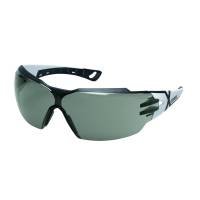Uvex Pheos cx2 Beskyttelsesbrille One size grå PC flergangs