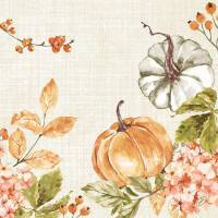 Dunisoft middagsserviet Spicy Pumpkin 1/4 fold 40x40cm flerfarvet Bio