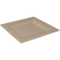 Gastro Fibertallerken 20x20x1,5cm nature bagasse firkantet komposterbar