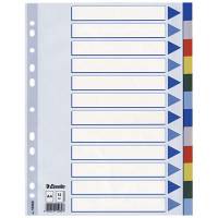 Esselte faneblade A4 plast 12-delt