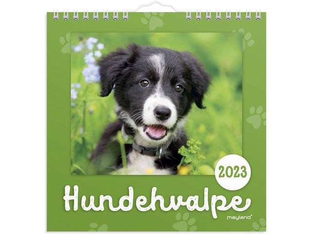 Mayland 23 0664 10 Vægkalender Hundhvalpe 16x32cm