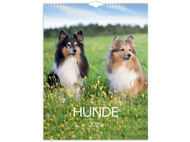 Mayland 2025 vægkalender Hunde 29,5x39cm 25066320 