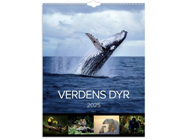 Mayland 2025 vægkalender Verdens dyr 29,5x39cm 25066330