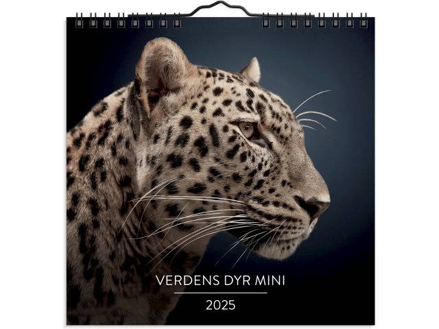 Mayland 2025 vægkalender Verdens dyr 16x16cm 25066420