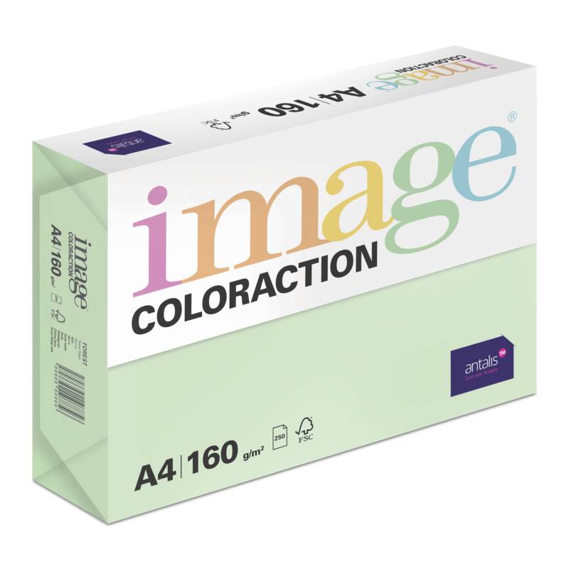Image Coloraction kul&oslash;rt kopipapir A4 160g Forest Pastel Green