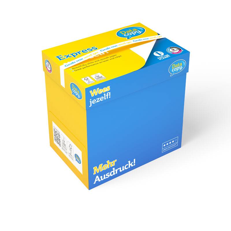 Data Copy A4 kopipapir 100g, 500 ark