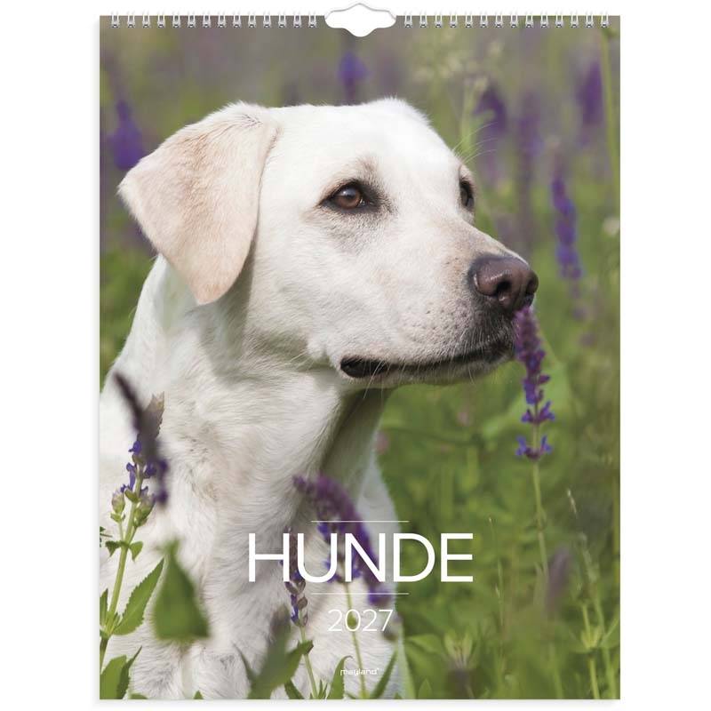 Mayland 2027 v&aelig;gkalender hunde 29,5x39cm 27066320