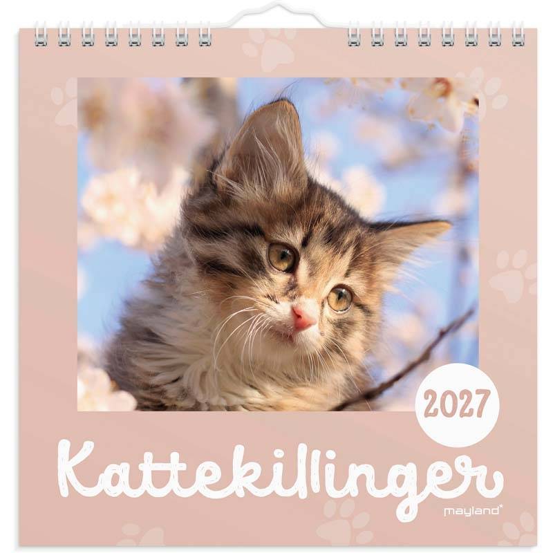 Mayland 2027 v&aelig;gkalender Mini kattekillinger 16x16cm 27066400