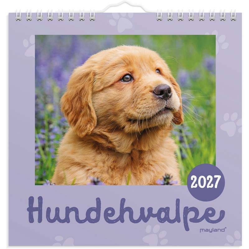 Mayland 2027 v&aelig;gkalender Mini hundevalpe 16x16cm 27066410