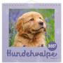 losqxl_sap_743252_00