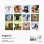 losqxl_sap_743252_3_00