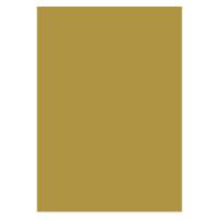 Karton Folia 50x70cm 300g guld