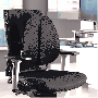 8026401_backangel_backsupport_ls_inset