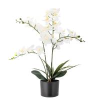 Bloomingville Orchid Plante Kunstige Blomster Hvide nuancer