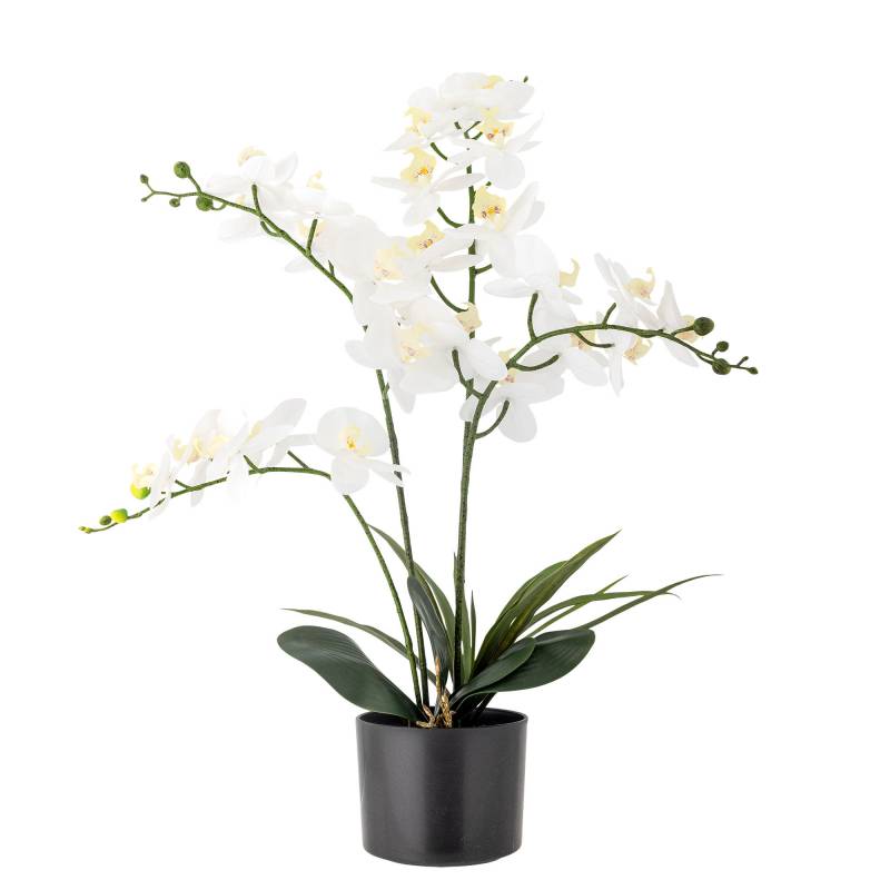 Bloomingville Orchid Plante Kunstige Blomster Hvide nuancer