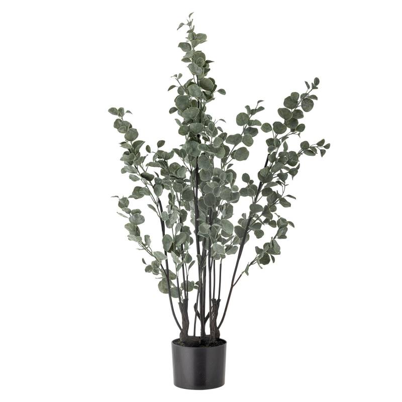 Bloomingville Eucalyptus Plante Kunstige Blomster  Gr&oslash;nne nuancer