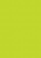 Farvet papir A4 130g svanemærket 50 ark tropisk grøn