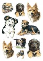 Stickers selvklæbende klistermærker - Decor hunde