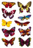 Stickers - Decor sommerfugle