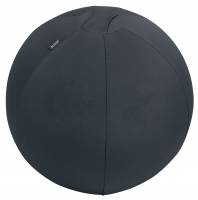 Leitz Ergo Active balancebold med stopperfunktion 55cm mørk grå