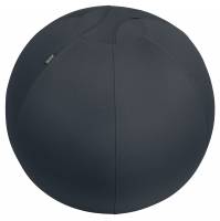 Leitz Ergo Active balancebold med stopperfunktion 65cm mørk grå