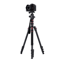 Rollei Compact Traveler No. 2 stand til kamera