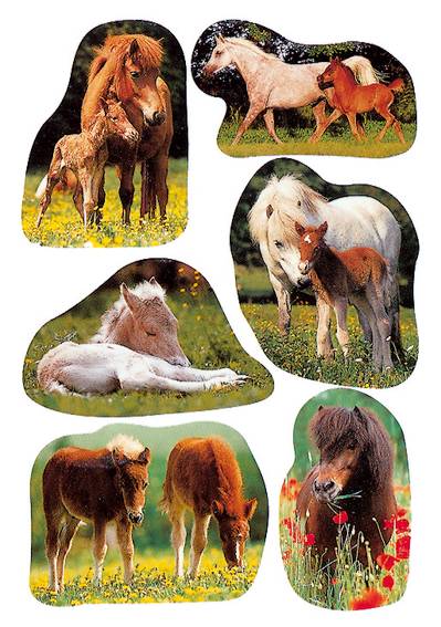 Stickers selvklæbende klistermærker - Decor foto af heste