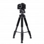 ROL30224