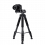 ROL30224_1