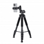 ROL30224_2
