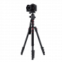 ROL30225