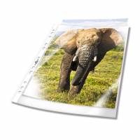 Durable plastlomme til ringbind business A4 pp, pose med 100 stk