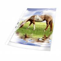Durable plastlomme til ringbind premium A4 glasklar pp pose med 50 stk