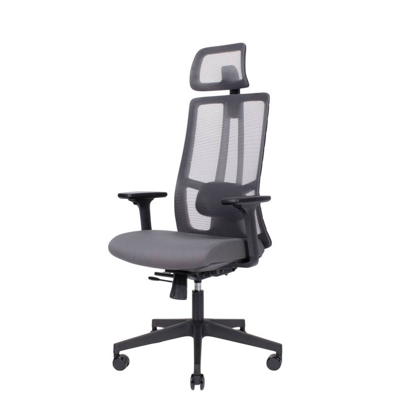 ErgoTek kontorstol med netryg og nakkest&oslash;tte sort