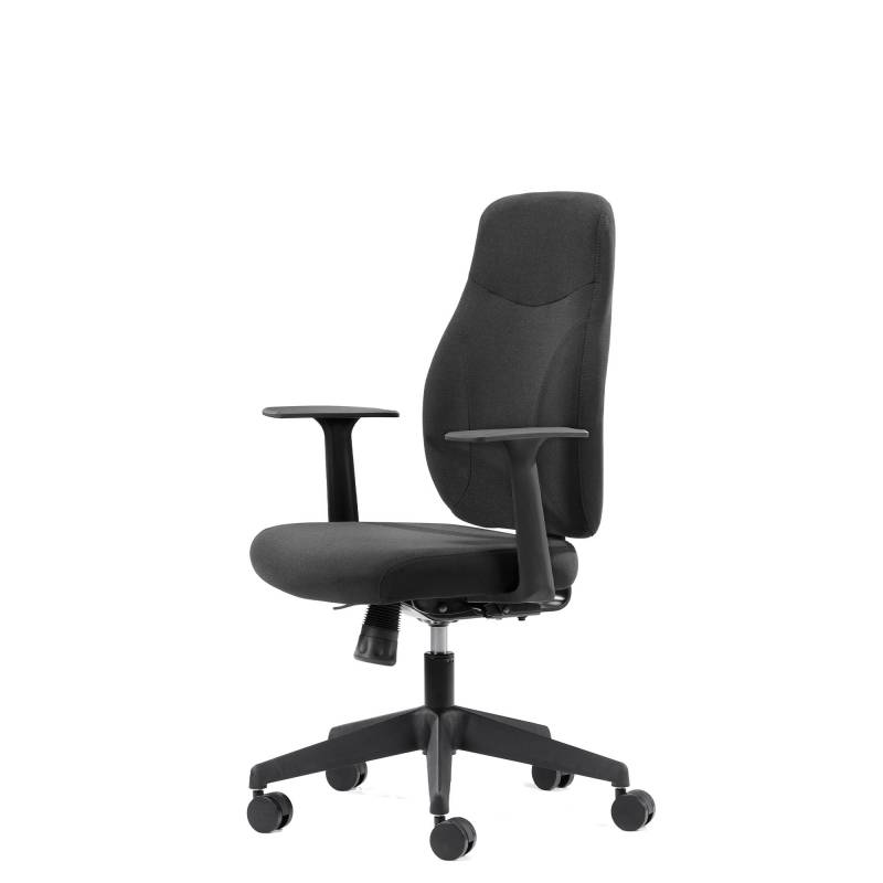 Office canadian Ergo Eco 2 kontorstol med høj ryg, sort