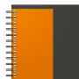 100103165_2301