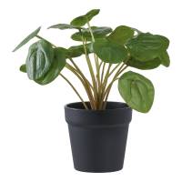 Pelia kunstig plante 28cm gr&oslash;n