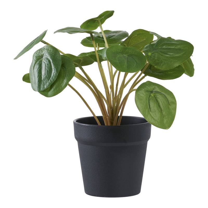 Pelia kunstig plante 28cm gr&oslash;n