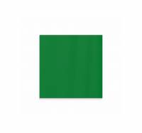 Lintex Mood Wall glastavle 100x100cm Fearless, grøn