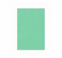 Lintex Mood Wall glastavle 100x150cm Free, mint grøn