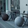 55101x_balance_balanceball_office-768x768