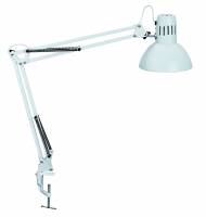 MAULstudy LED skrivebordslampe med bordklemme hvid