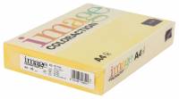 Image Coloraction kulørt kopipapir A4 80g nr. 49 citrongul