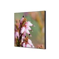 Tekstil vægdekoration 40x40cm Pink Flower Erica med sort ramme