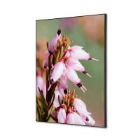 Tekstil vægdekoration A2 Pink Flower Erica med sort ramme