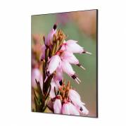 Tekstil vægdekoration A1 Pink Flower Erica med sort ramme