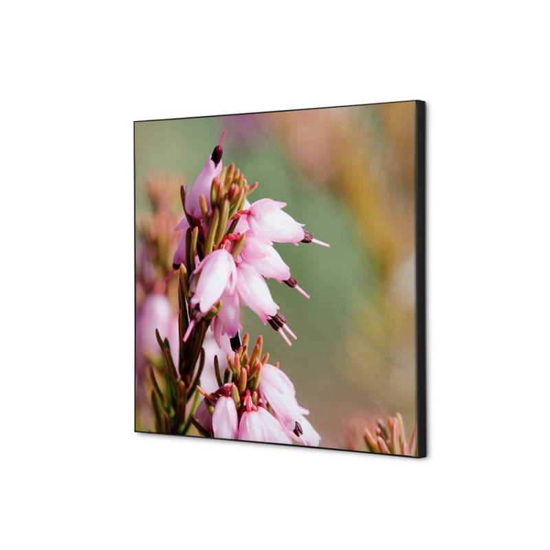 Tekstil vægdekoration 40x40cm Pink Flower Erica med sort ramme
