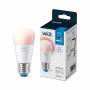 8719514554672-wiz-mini-bulb-atf-clean_02