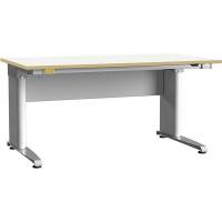 ESD-arbejdsbord ErgoMulti med grå HPL laminat måtte 1500x800mm
