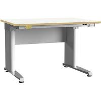 ESD-arbejdsbord ErgoMulti med grå vinyl måtte 1200x800mm